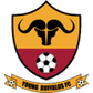 Young Buffaloes logo