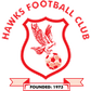 Hawks logo