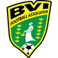 British Virgin Islands logo