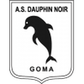 Dauphins Noirs logo