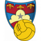 Gubbio logo