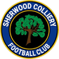 Sherwood Colliery logo
