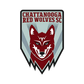 Chattanooga Red Wolves logo