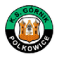 Górnik Polkowice logo