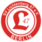 Lichtenberg logo