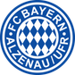 Bayern Alzenau logo