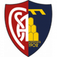 Montevarchi Calcio logo