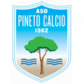 Pineto logo