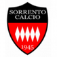 Sorrento logo