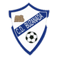 Buzanada logo