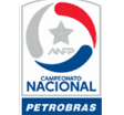 Primera División logo