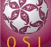 Stars League logo