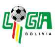 Primera División logo