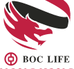 HKFA 1st Division logo