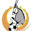 Premier League logo
