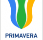 Coppa Italia Primavera logo