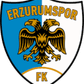 Erzurum BB logo