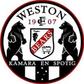 Weston Bears logo