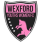 Wexford Youths logo