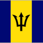 Barbados U20 logo