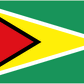 Guyana U20 logo