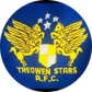 Treowen Stars logo
