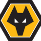 Wolves U23 logo