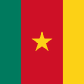 Cameroon U17 logo