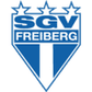 SGV Freiberg logo