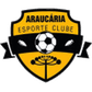 Araucária logo