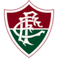 Fluminense U20 logo