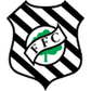 Figueirense logo