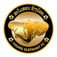 Young Elephant logo