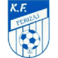 Ferizaj logo