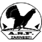 Olimpic Zărneşti logo