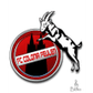 Feulen logo
