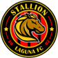 Stallion logo