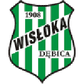 Wisłoka Dębica logo