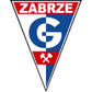 Górnik Zabrze U19 logo