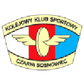 Czarni Sosnowiec W logo