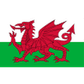 Wales U17 logo