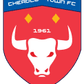 Cheadle Town W logo