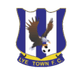 Lye Town W logo