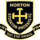 Norton & Stockton W logo