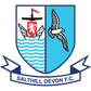 Salthill Devon logo