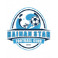 Hainan Star logo