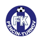 Turnov logo