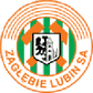 Zagłębie Lubin U19 logo