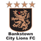 Bankstown City Lions logo