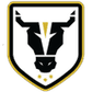 Bulls Academy logo